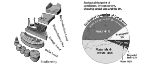 impronta ecologica