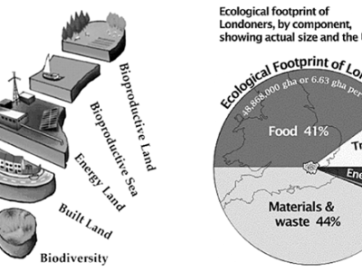 impronta ecologica